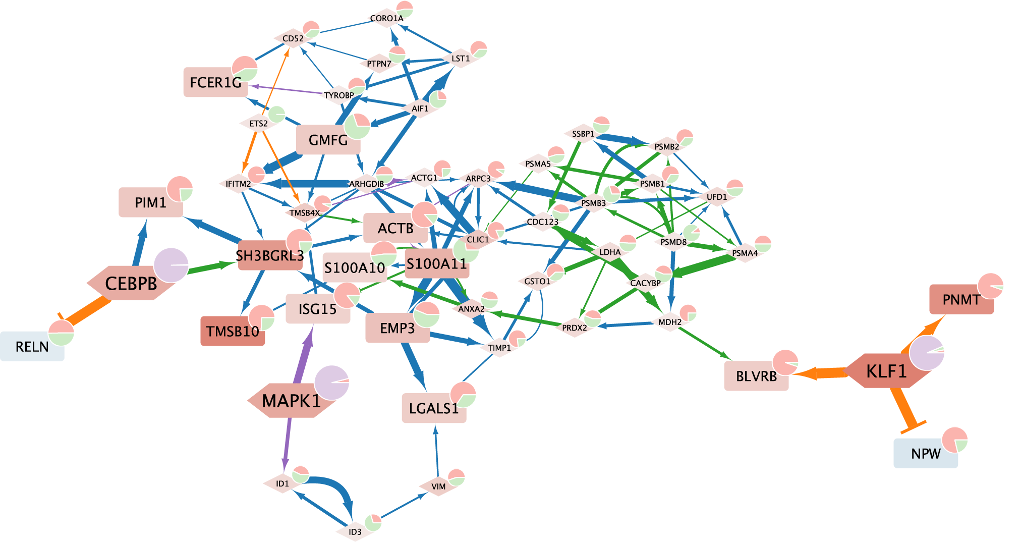 cytoscape